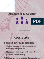 Intro To Genetics Student 2