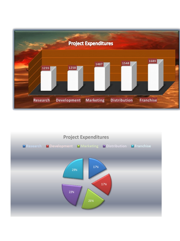 Sample Project Expenditure Charts | PDF | Art