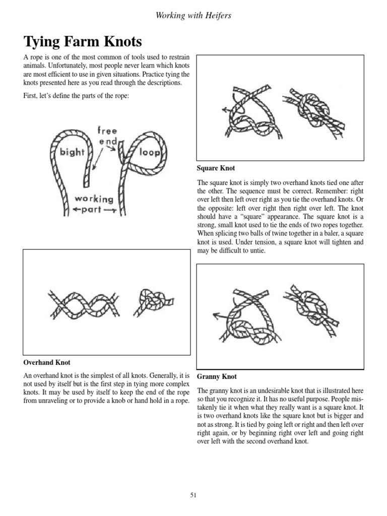 How to tie a tie: A step-by-step guide to 4 popular knots - The Manual
