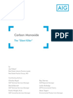 Carbon Monoxide White Paper