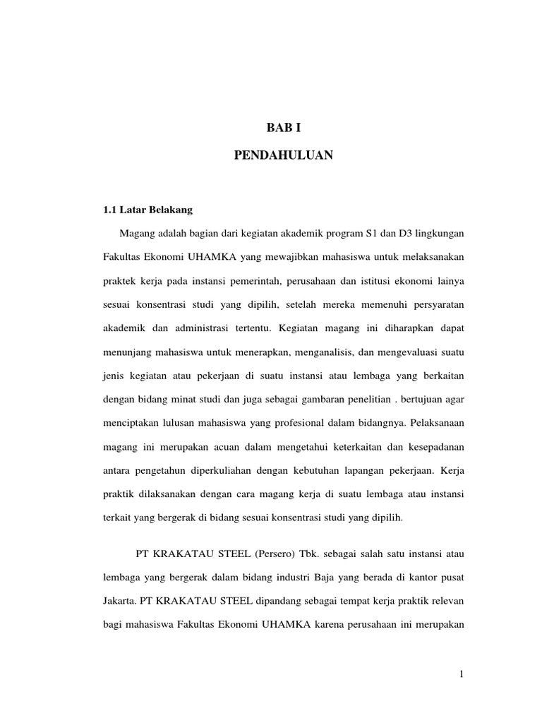 Laporan Magang