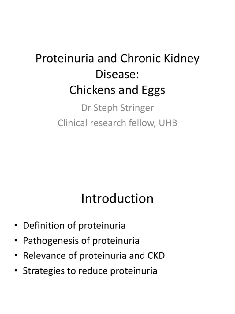 Understanding Proteinuria and CKD | PDF | Renal Function | Chronic ...