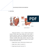 Anatomi Dan Fisiologi Duodenum Print