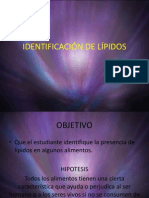 Identificación de Lípidos