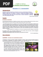 Mensagem Nº 17 - Quaresma