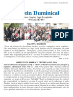 Buletin-Duminical NR 44 2013