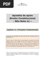 Apostila de Apoio-cap 11-Principios Fundamentais