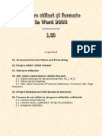 Despre Stiluri Şi Formate În Word 2003