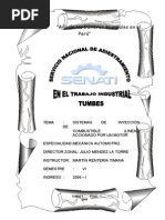 Sistema de Inyección Guerra Sanchez