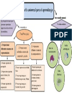 Organizador Grafico DUA