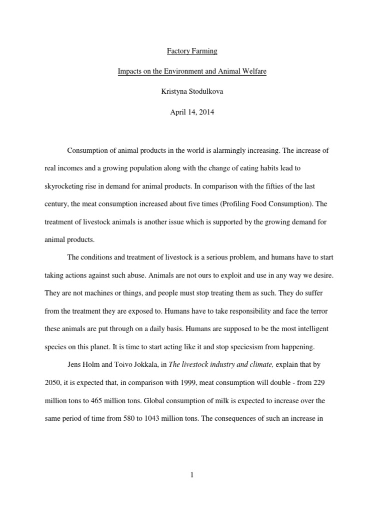 Environmental Ethics Essay - blogger.com