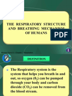 Biology Form 4 Chapter 7 Respiration