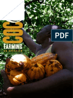 Cocoa Farming a Detailed Overview