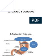 Estómago y Duodeno