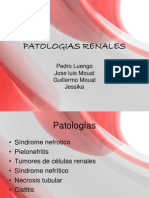 Patologías renales