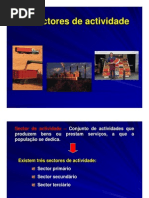Os Sectores de Actividade