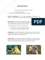 Animales Domesticos.docx