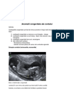 Anomalii Congenitale Ale Cordului