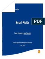 Smart Fields: Shell Exploration & Production