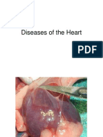 13 Diseases of The Heart