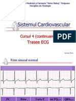 cardiovascular