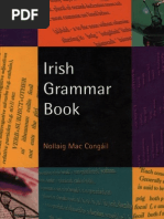 Irish Course Irish Language English Language