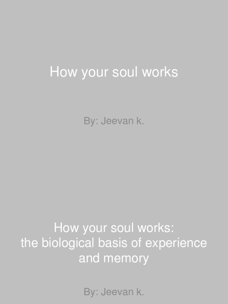 Understanding Memory and Experience | PDF | Self-Improvement | Wellness