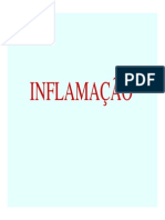 inflamaçao_imuno