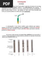Cromatografia