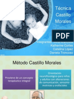Castillo Morales Ppt2.0(1)