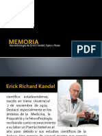 Memoria. Neurobiologia de Eric Kandel. Tipos y Fases