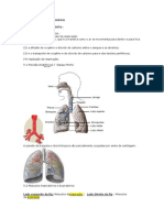 Fisiologia