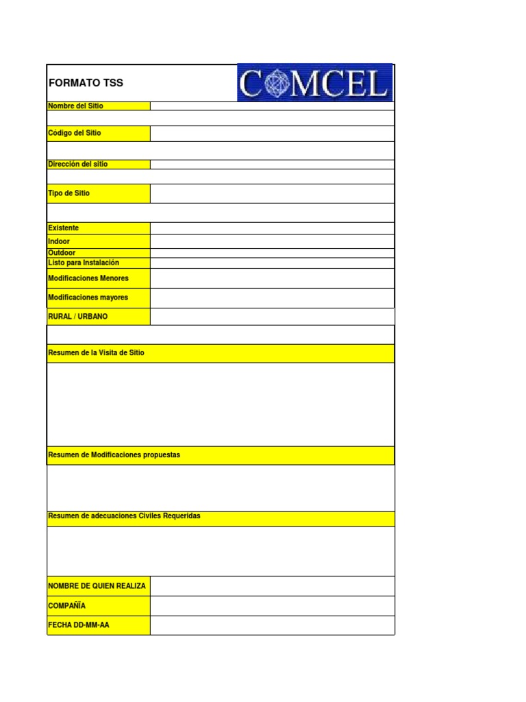 Formato TSS en Telecomunicaciones | PDF | Ingeniería en ...