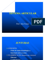 Sistema Articular