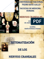 Sistematización de Los Nervios Craneales