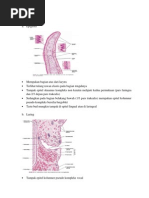 Presentasi Histologi