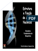 Ácidos Nucleicos - Aula 2