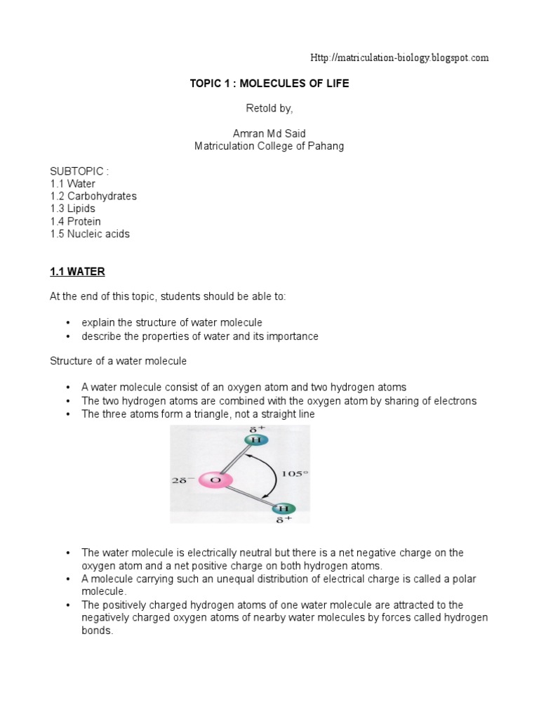 Matriculation Biology Molecule of Life Fatty Acid Proteins