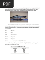 Download Ikan Patin by Yuni Anto SN221830397 doc pdf