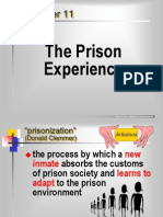 The Prison Experience: Clear & Cole, American Corrections, 6