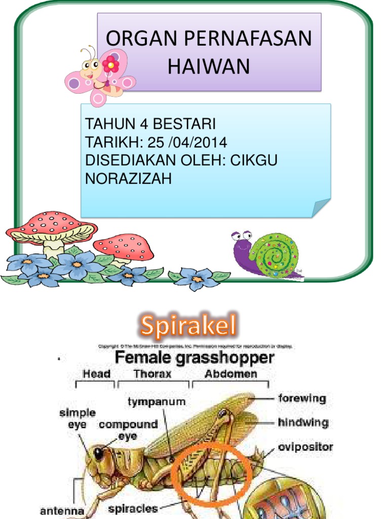 Handout Murid Pdf