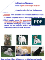 The Structure of Language: Phonetics and Universal Grammar