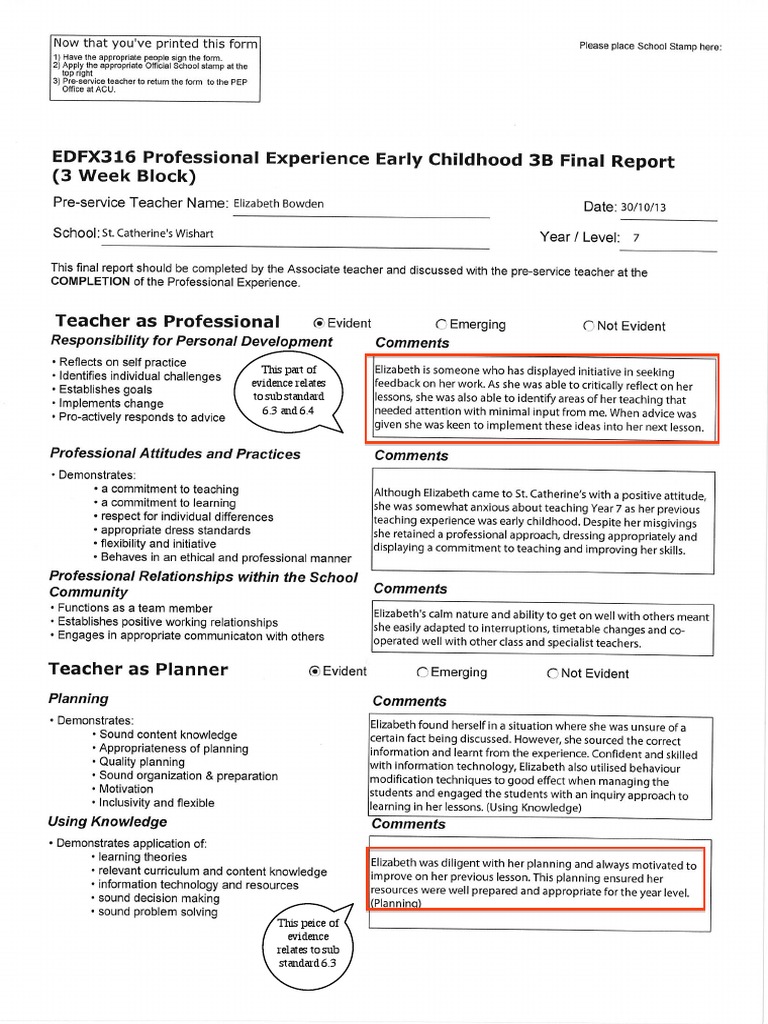 EDFX316 Professional Experience Final Report | PDF