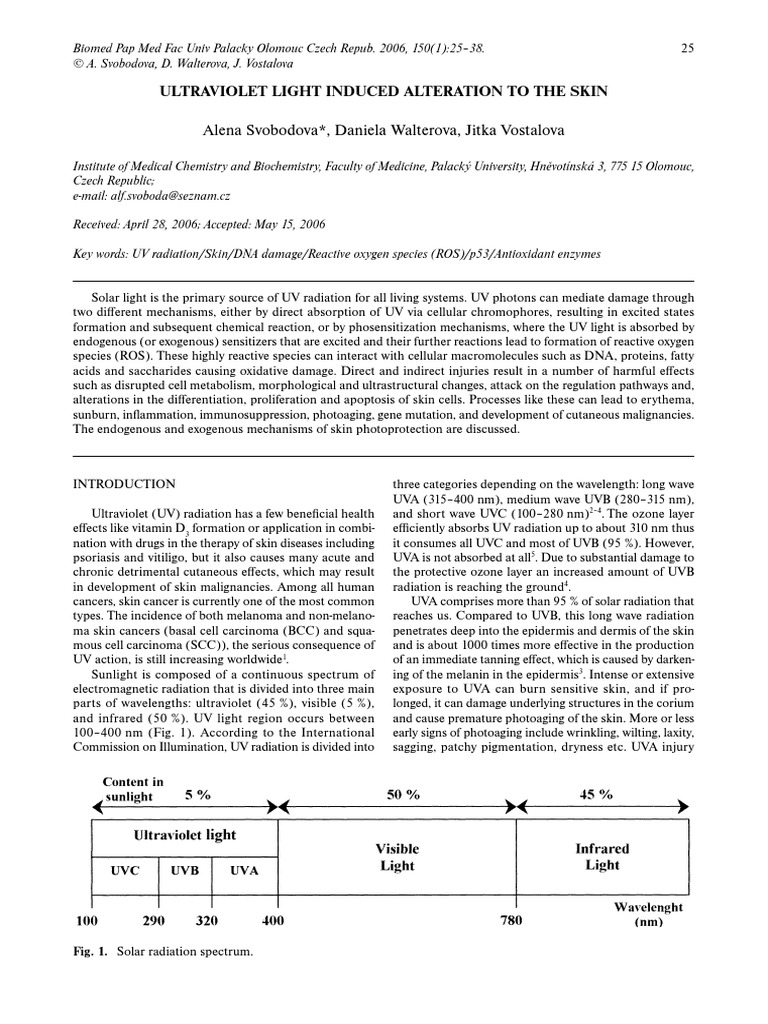 UV Effects On Skin | PDF | Sunscreen | Ultraviolet