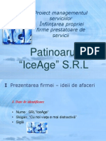 Proiect Managementul Serviciilor IceAge