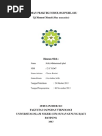 Download Laporan Praktikum Biologi Perilaku- Uji Memori Mencit by Rifki Muhammad Iqbal SN221859140 doc pdf