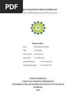 Download Laporan Praktikum Biologi Perilaku-Agonistik Cupang by Rifki Muhammad Iqbal SN221859174 doc pdf