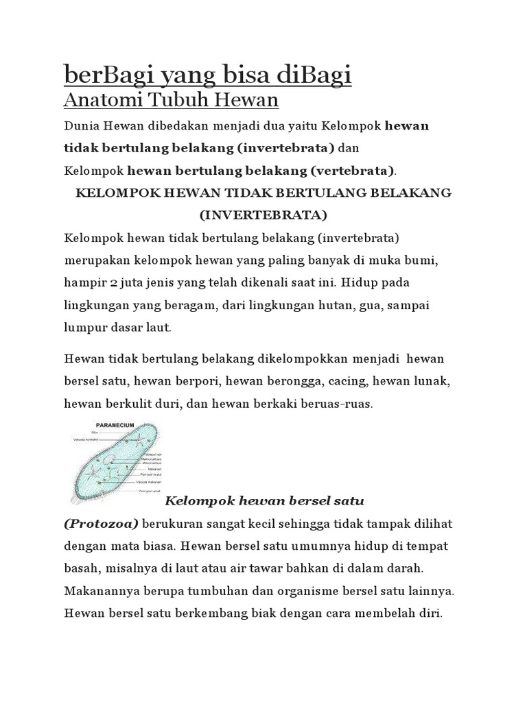 41++ Kelompok hewan insecta information