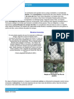 Harpia - Ficha Da Ave - Como Funciona A Harpia PDF