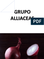 Grupo Alliaceas